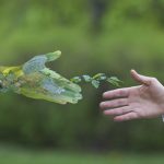 Corporate Sustainability